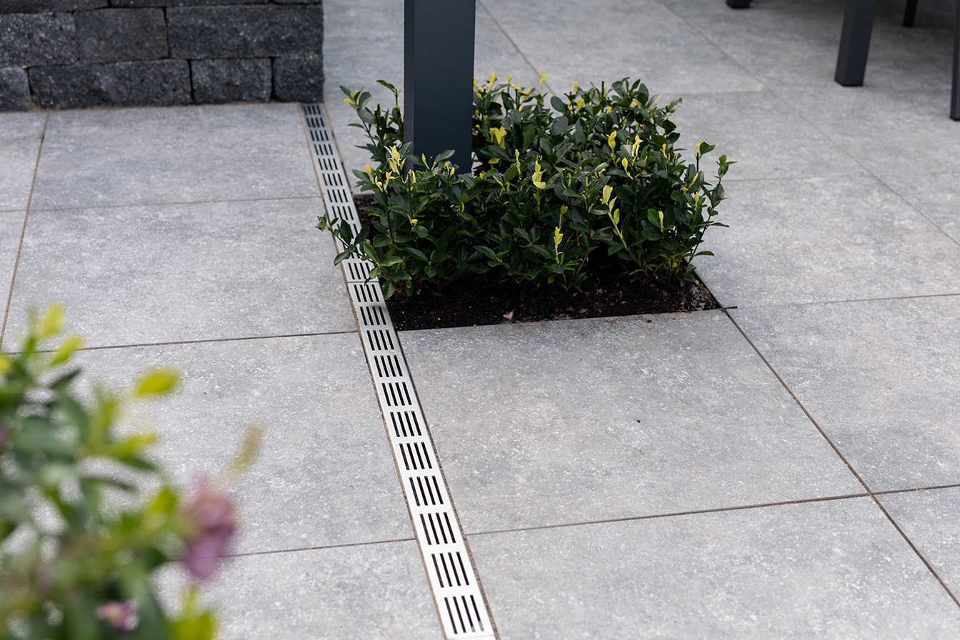 Slimline Rooster Ali